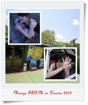 page101.jpg