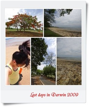 page133.jpg