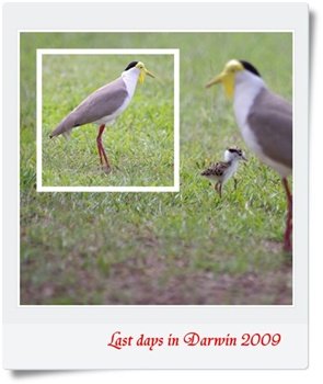 page135.jpg