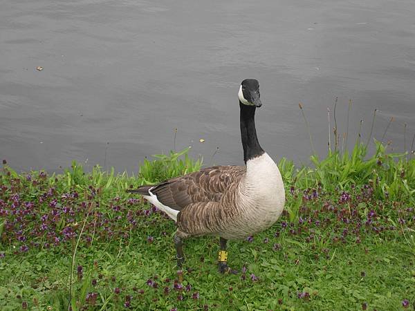 IMG_0004.JPG