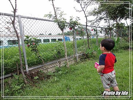 DSC02987P00.jpg