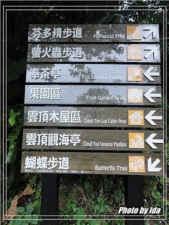 DSC01040P193.jpg