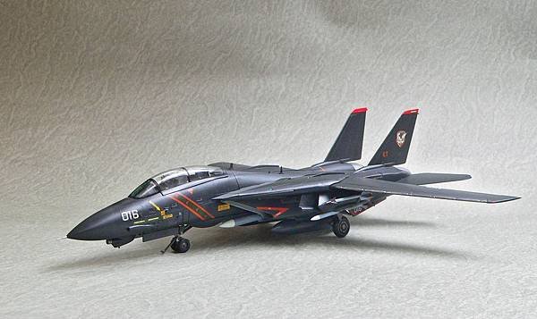 F-14A_RAZ_010.jpg