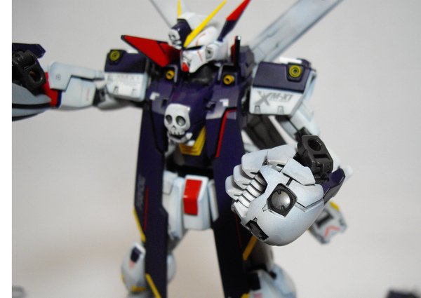 crossbone X-1_016.jpg