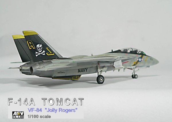 F-14A Jolly Rogers-010.jpg