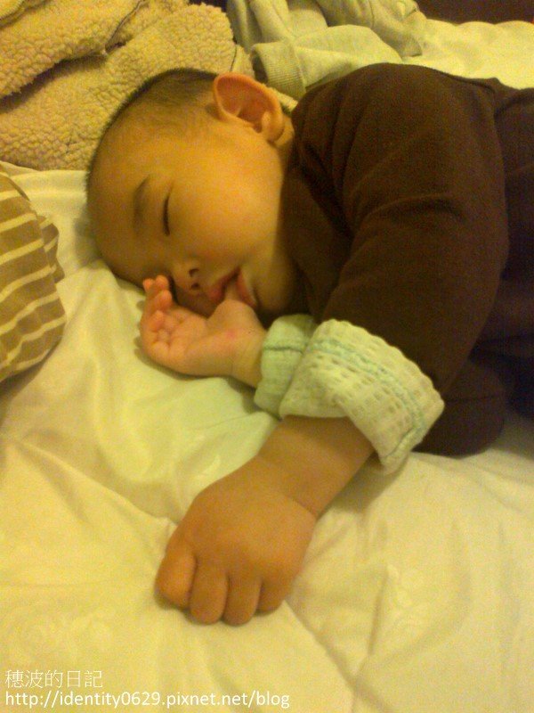20120208733.jpg