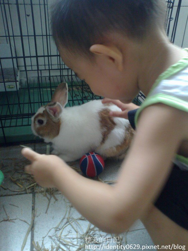 201209244538