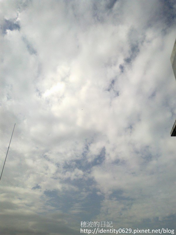 201212035554