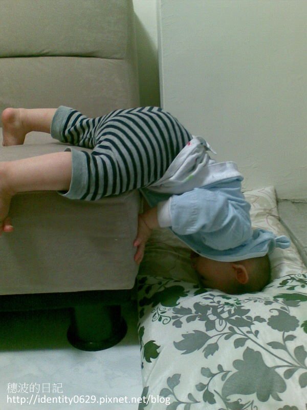 20110505.jpg