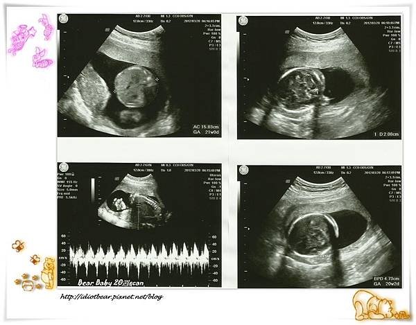 20周Scan.jpg