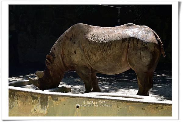 [ 日本 ] 半獸人的行程。上野動物園