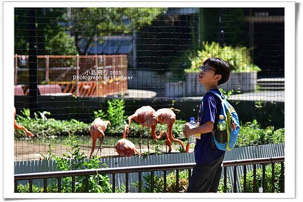 [ 日本 ] 半獸人的行程。上野動物園