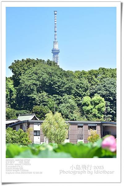 [ 日本 ] 半獸人的行程。上野動物園