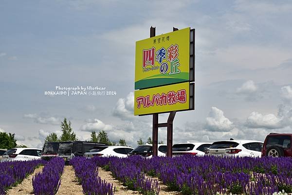 [日本] 畢業旅行。北海道的白金青池與花花世界