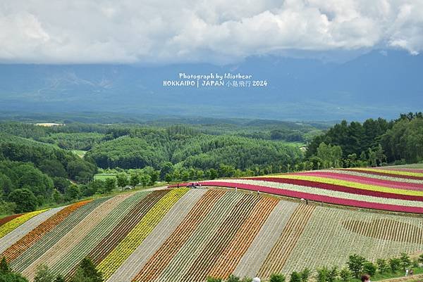 [日本] 畢業旅行。北海道的白金青池與花花世界