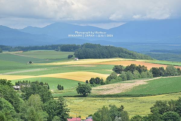 [日本] 畢業旅行。北海道的白金青池與花花世界