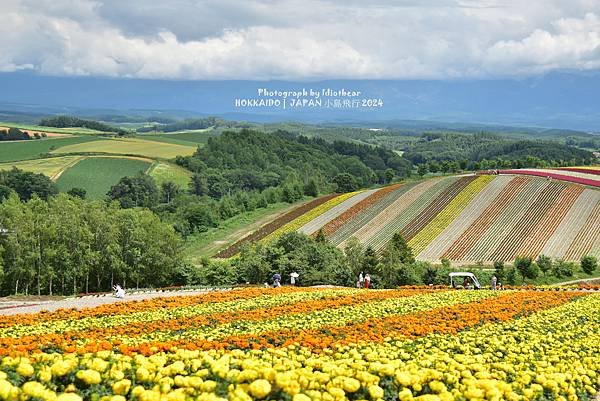 [日本] 畢業旅行。北海道的白金青池與花花世界