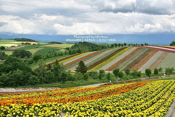 [日本] 畢業旅行。北海道的白金青池與花花世界