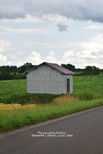 [日本] 畢業旅行。北海道的白金青池與花花世界