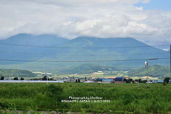 [日本] 畢業旅行。北海道的白金青池與花花世界