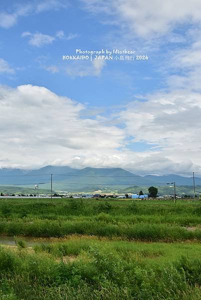 [日本] 畢業旅行。北海道的白金青池與花花世界