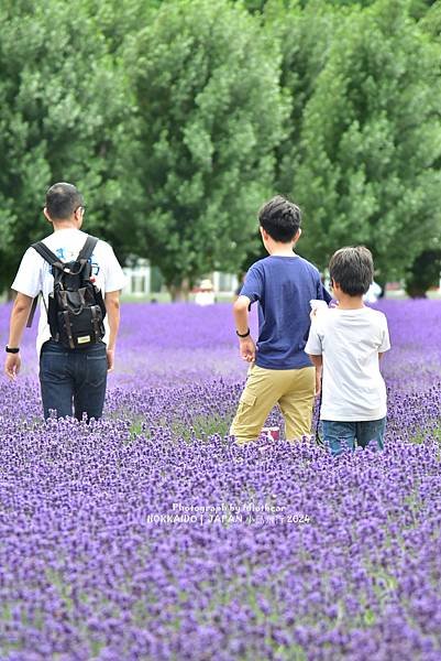 [日本] 畢業旅行。北海道的白金青池與花花世界