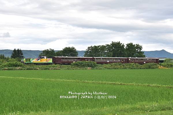 [日本] 畢業旅行。北海道的白金青池與花花世界