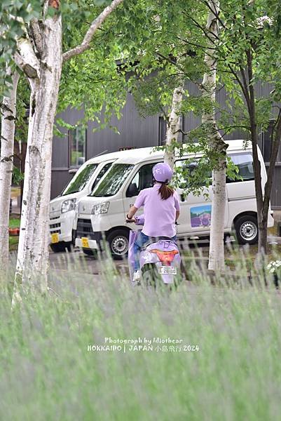 [日本] 畢業旅行。北海道的白金青池與花花世界