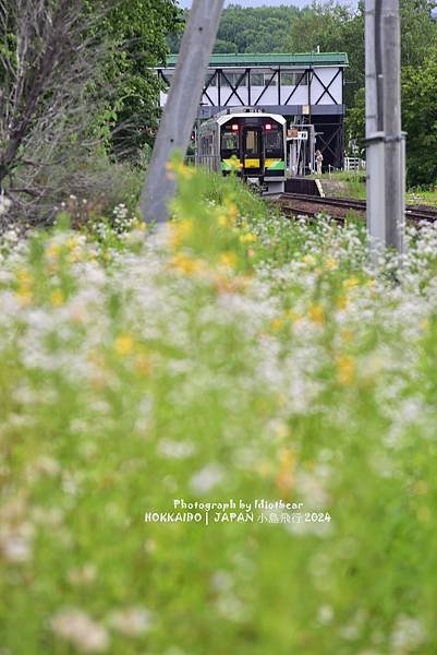 [日本] 畢業旅行。北海道的白金青池與花花世界