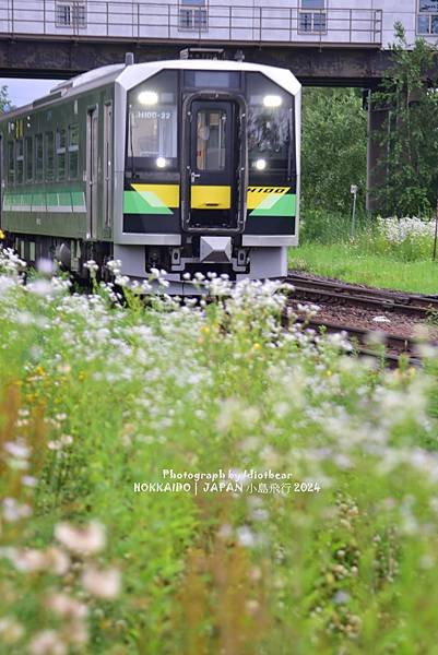 [日本] 畢業旅行。北海道的白金青池與花花世界