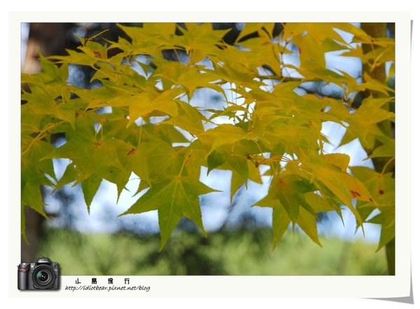DSC_0269.jpg