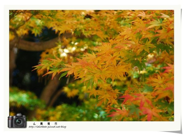 DSC_0346.jpg