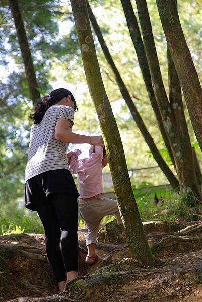 _MG_3596.jpg