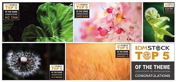 植物 TOP5 _工作區域 1 (1).jpg