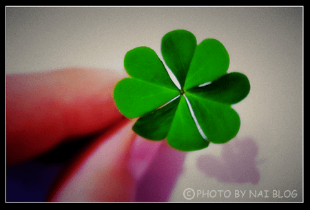 Four Leaf Clover 