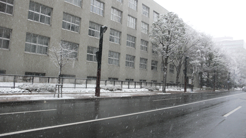 P1070181.gif