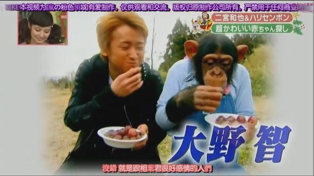 101225 天才!志村どうぶつ園