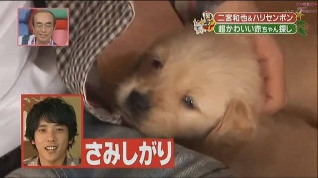 101225 天才!志村どうぶつ園