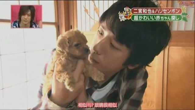 101225 天才!志村どうぶつ園