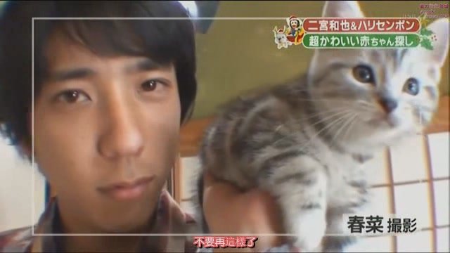 101225 天才!志村どうぶつ園