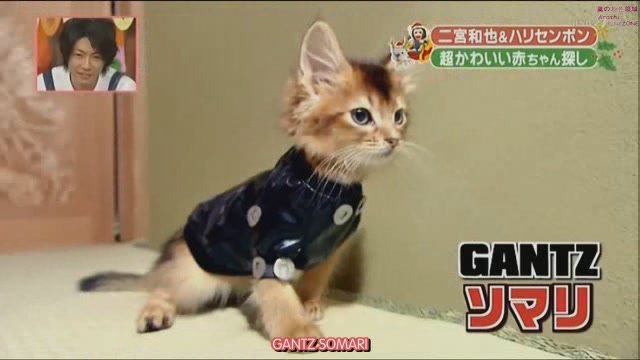 101225 天才!志村どうぶつ園