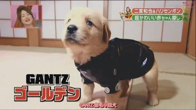 101225 天才!志村どうぶつ園
