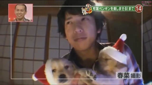 101225 天才!志村どうぶつ園