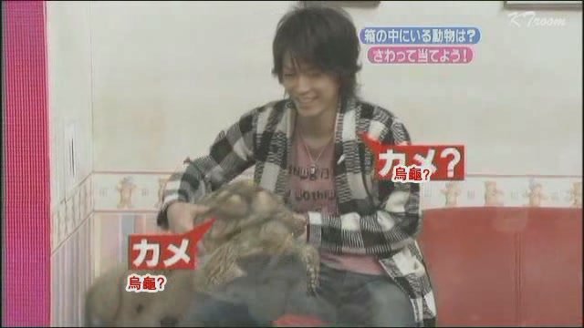 080119 天才!志村どうぶつ園