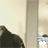 Junno001.gif