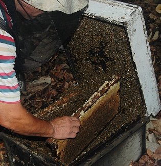 DSC_4378.jpg
