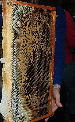 DSC_4360.jpg