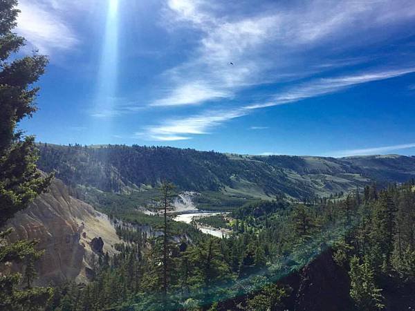 Yellowstone National Park_曾婉綸(1)I%5Cve been very lucky to spend summer here. It%5Cs an unforgettable experience!-4.jpg