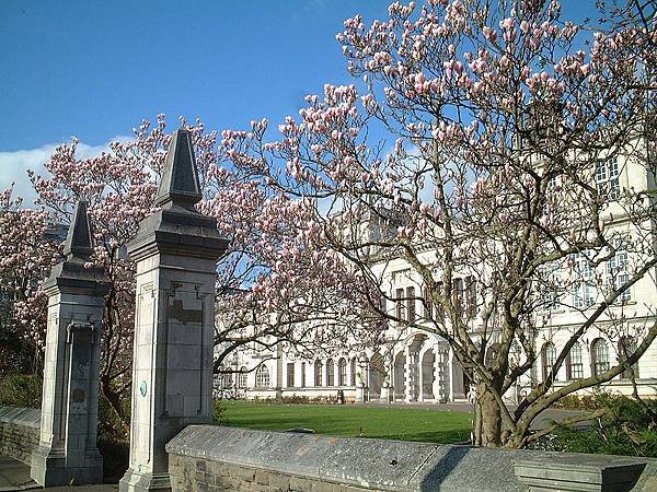 800px-Cardiff_University