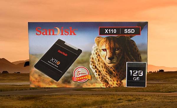 SANDISK X110